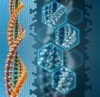 Plasmid DNA Isolation Lab Report Writing Aid