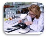 Professional Lab Report Writing Experts