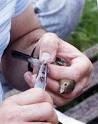 Reliable Lab Report Writers for Hire