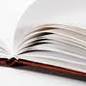 Dissertation Abstract help,